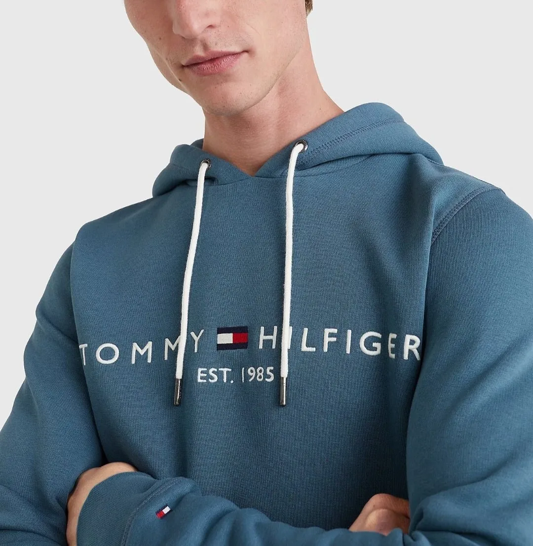 Tommy Hilfiger Tommy Logo Hoody